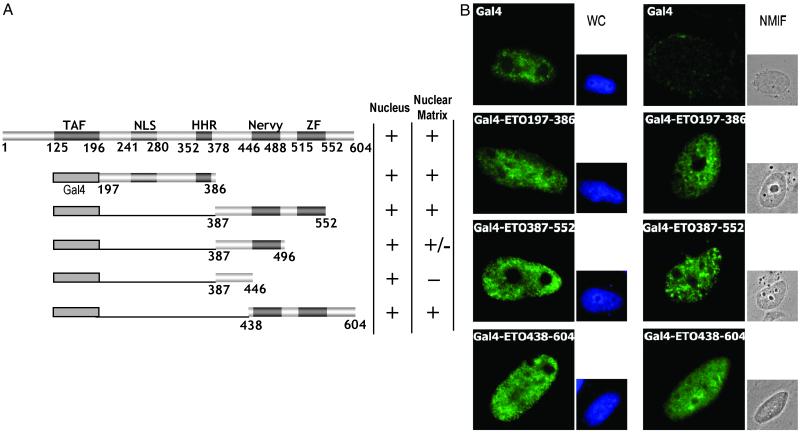 Fig 4.