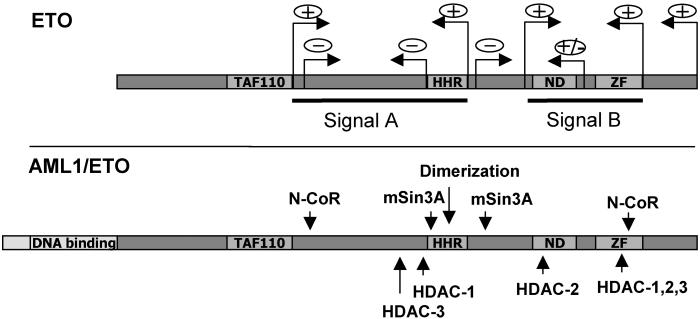 Fig 6.