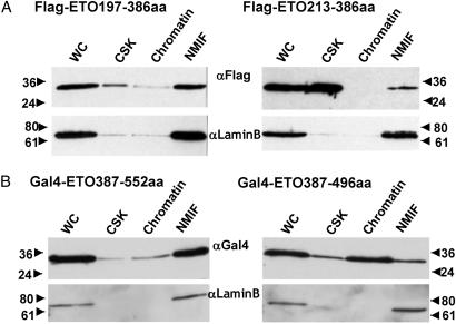 Fig 3.