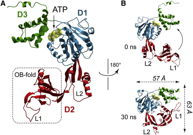 Figure 1