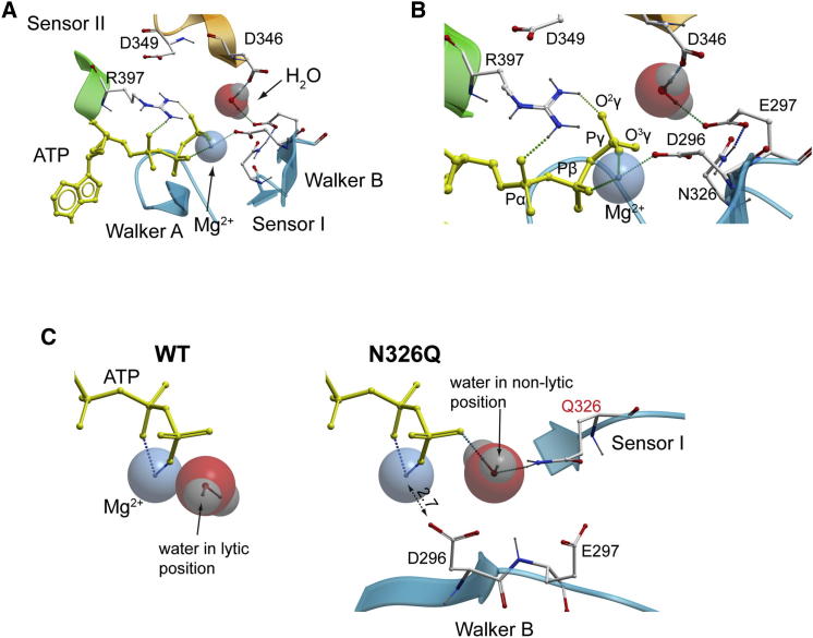 Figure 6