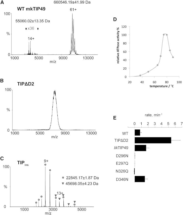 Figure 4