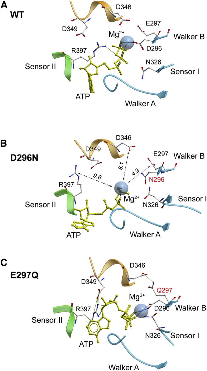 Figure 5