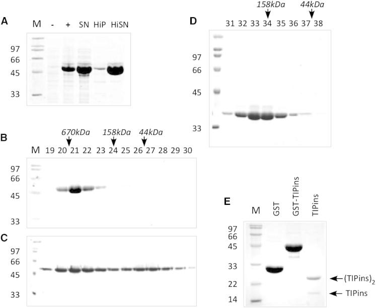 Figure 3