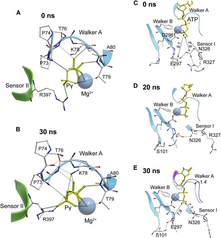 Figure 2