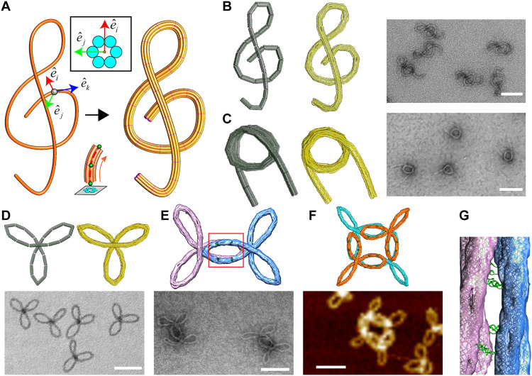 Fig. 3.