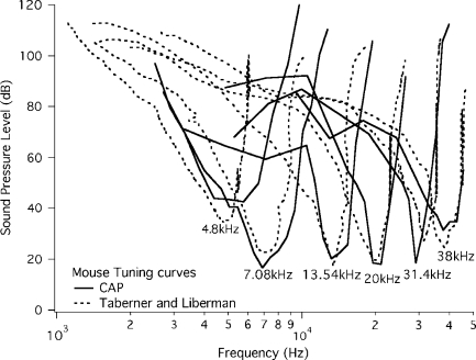 FIG. 2