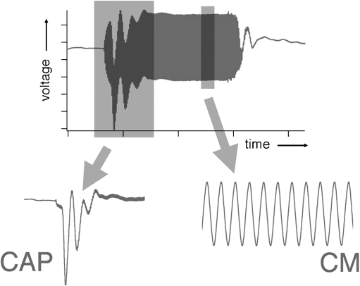 FIG. 1