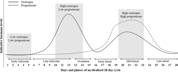 Fig. 1