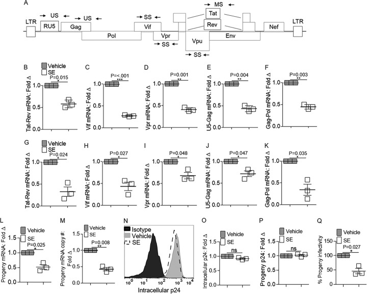 FIG 1