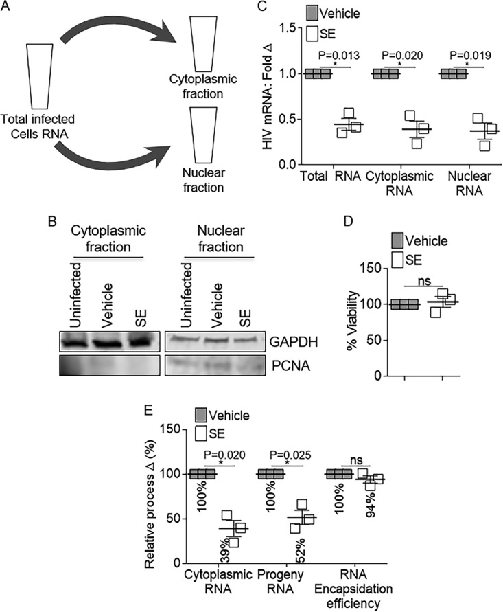 FIG 2