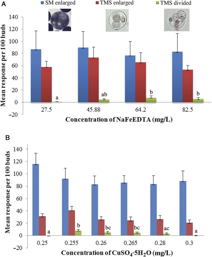 Figure 4.