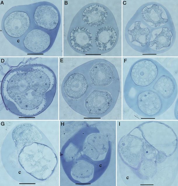 Figure 10.