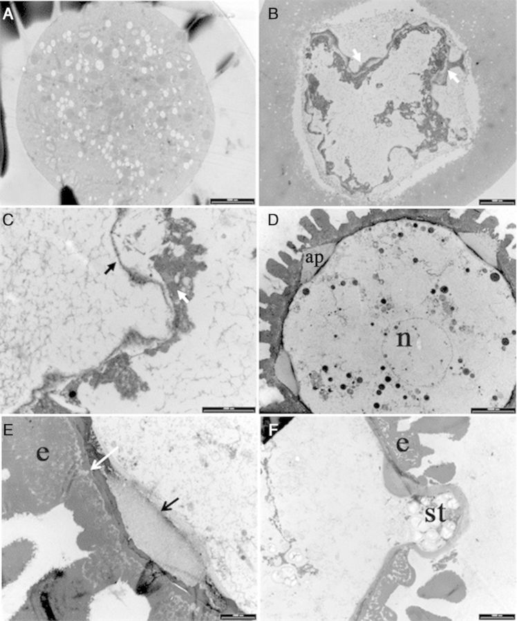 Figure 12.