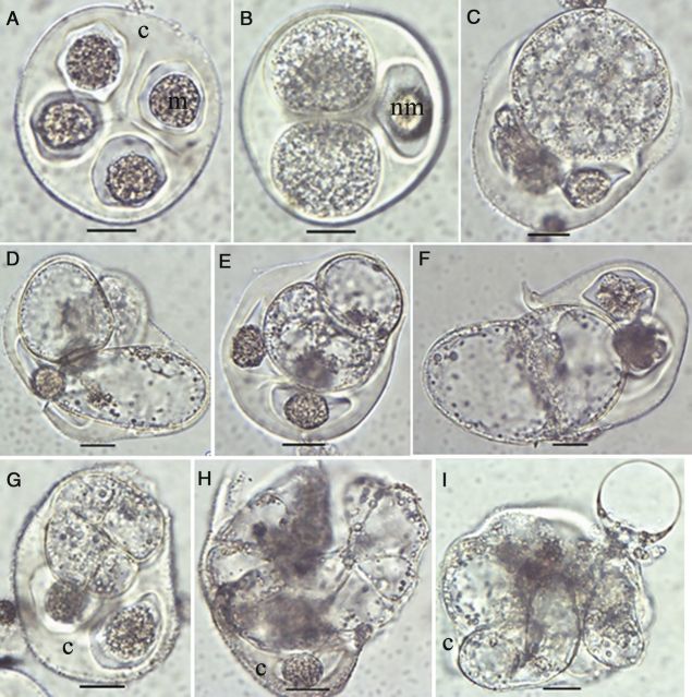 Figure 2.