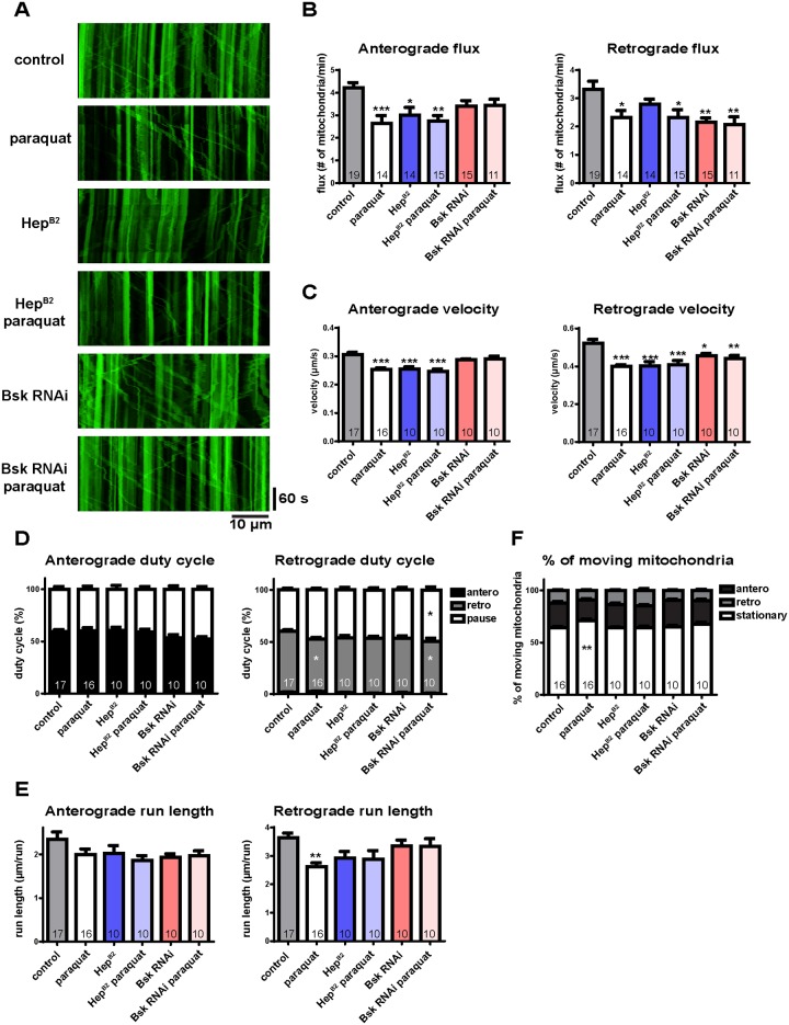 Fig 6