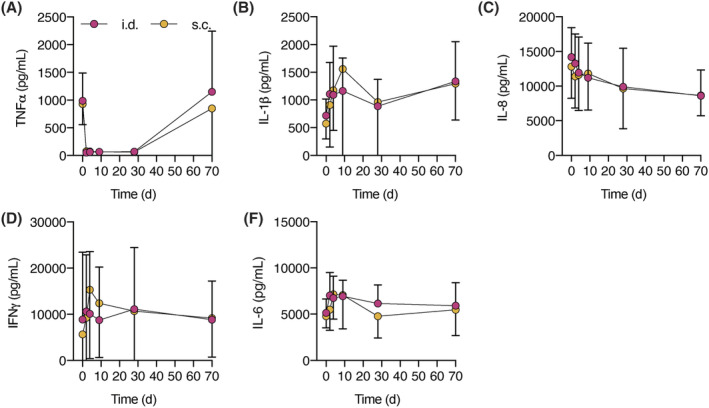 FIGURE 4