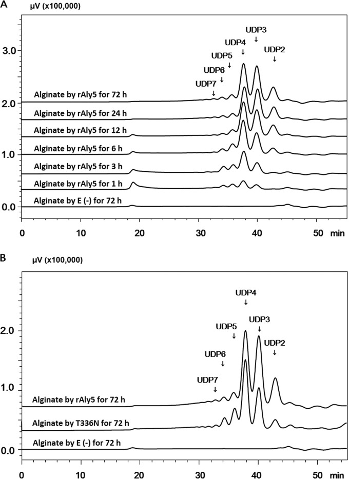 FIG 3