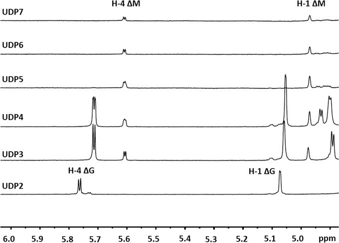 FIG 5