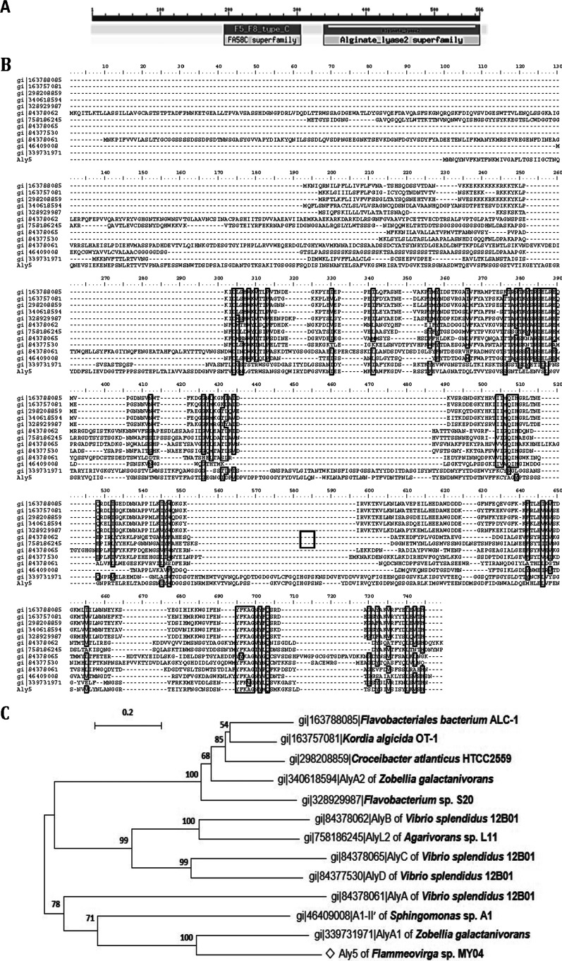 FIG 1