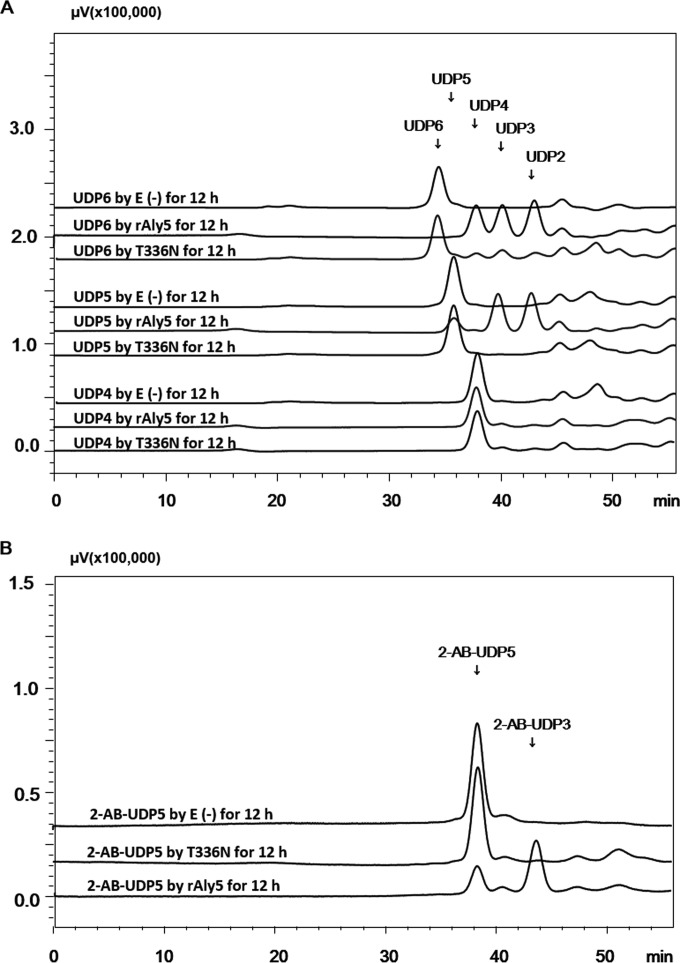 FIG 6