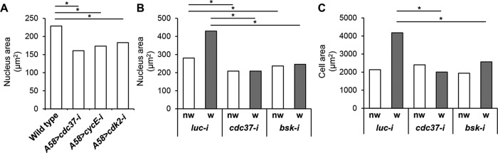 FIGURE 5: