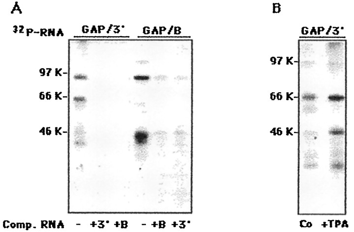 Fig. 9.