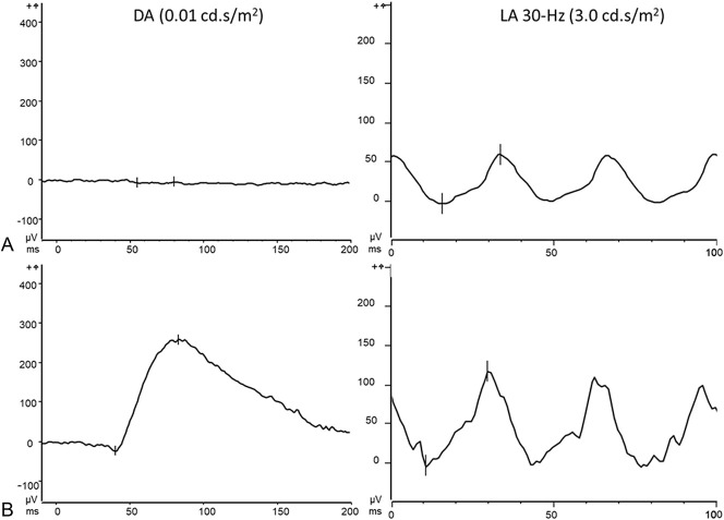 Fig. 3.