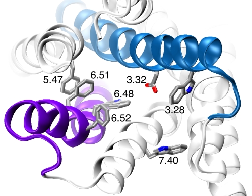 Fig. 2.