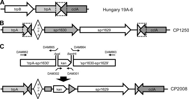 FIG. 5.