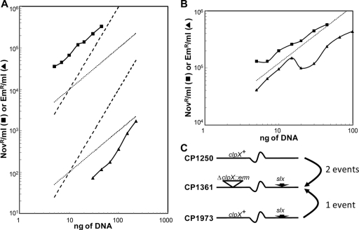 FIG. 2.