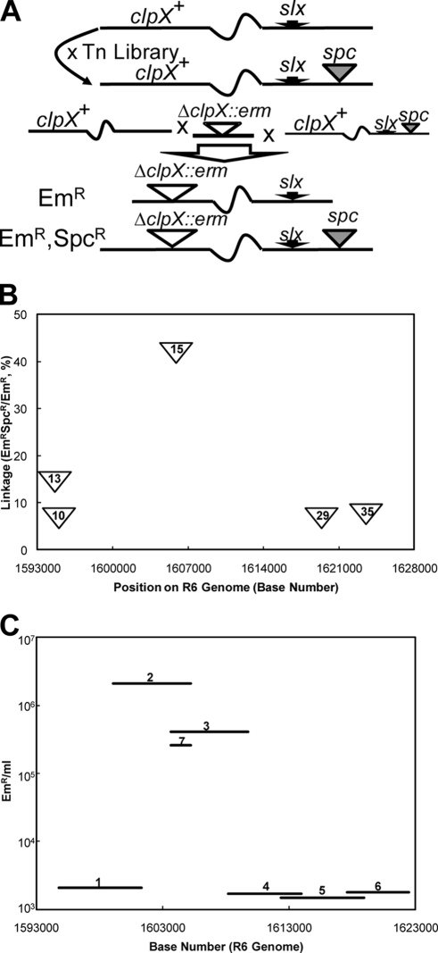 FIG. 3.