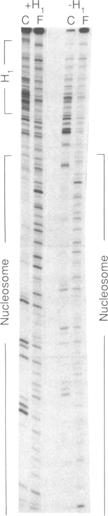 graphic file with name pnas00255-0023-a.jpg