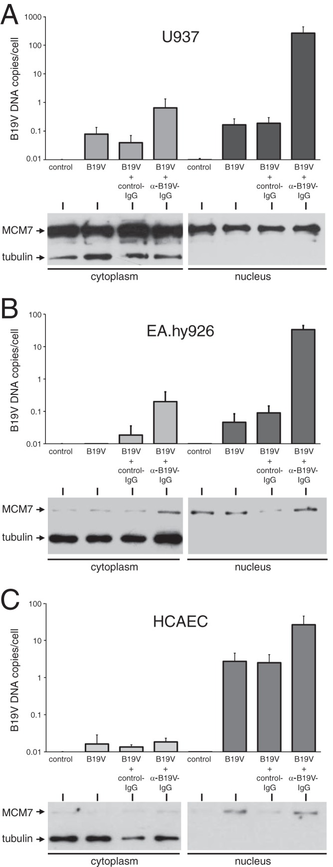 FIG 8