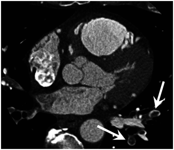 Fig. 8