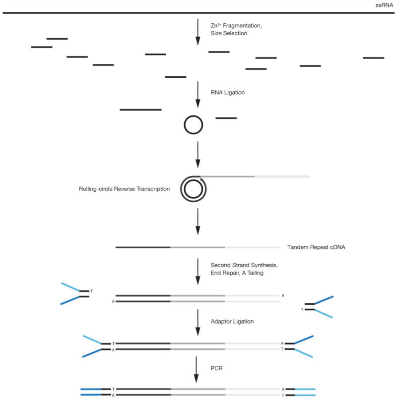 Extended Data Figure 1