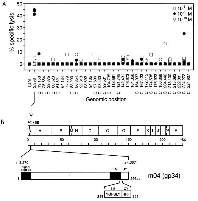 FIG. 3