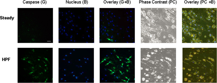 Figure 6