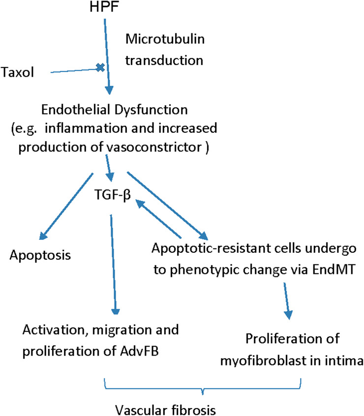 Figure 7