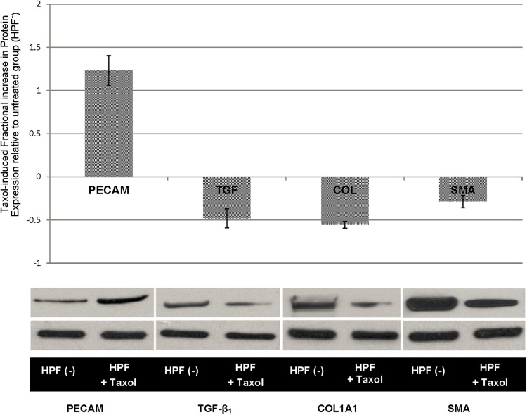 Figure 5