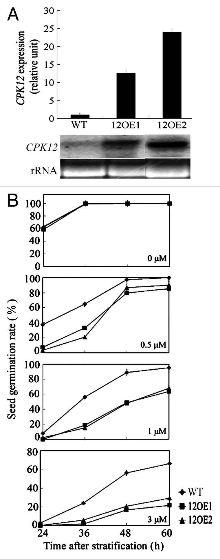 Figure 1.