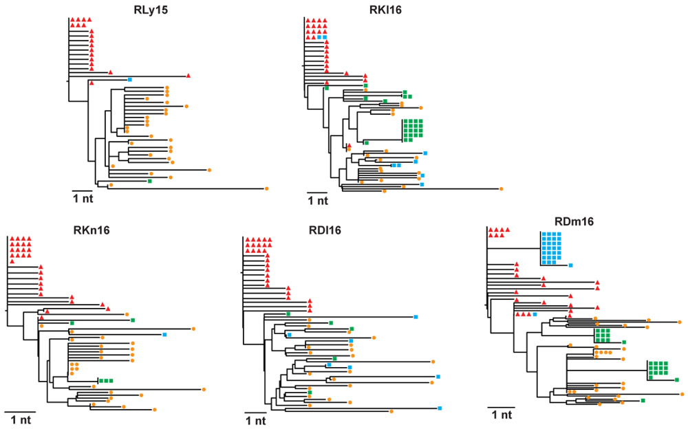 Extended Data Fig. 5.