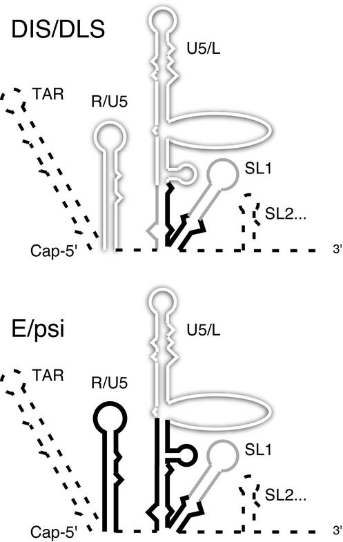 FIG. 6.