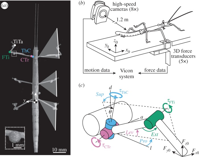 Figure 1.