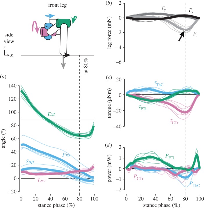 Figure 4.