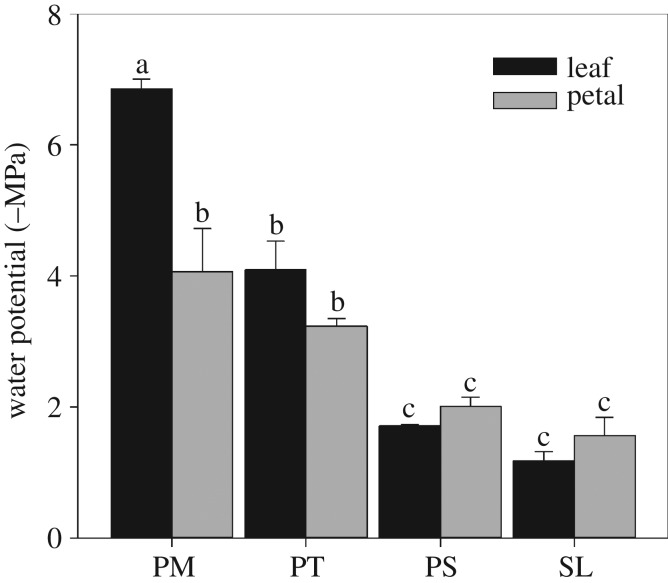 Figure 5.