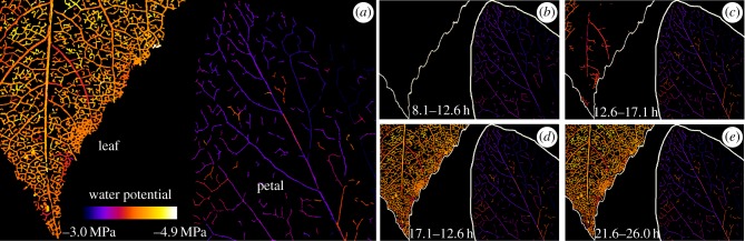 Figure 3.