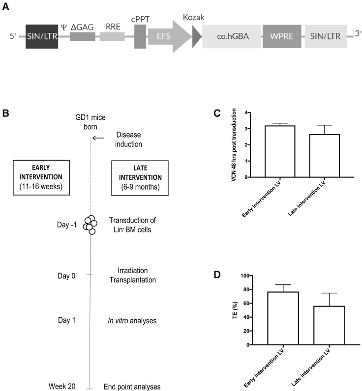 Figure 1