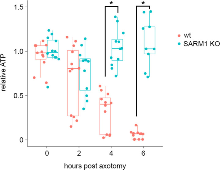 Figure 5—figure supplement 2.