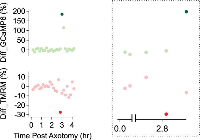 Figure 4—figure supplement 1.